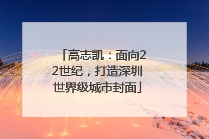 高志凯：面向22世纪，打造深圳世界级城市封面